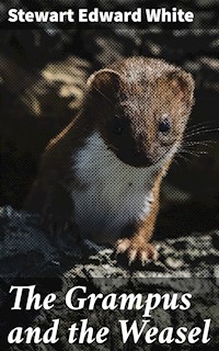 The Grampus and the Weasel - Stewart Edward White - E-Book