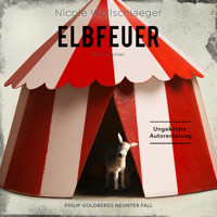 ELBFEUER - Nicole Wollschlaeger - Hörbuch