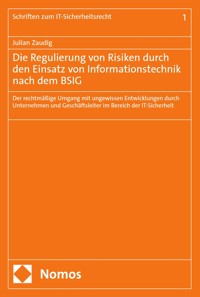 Die Regulierung von Risiken durch den Einsatz von Informationstechnik nach dem BSIG - Julian Zaudig - E-Book