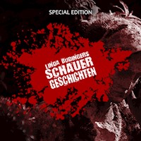 Linda Budingers SCHAUERGESCHICHTEN - Linda Budinger - Hörbuch