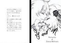 Y and A - Japan - Molinaro Sveva - E-Book