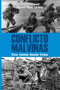 Conflicto Malvinas - Gustavo Placer Cervera - E-Book