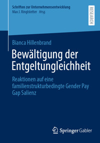 Bewältigung der Entgeltungleichheit - Bianca Hillenbrand - E-Book