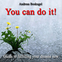 You can do it! - Andreas Boskugel - Hörbuch