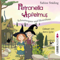 Schnattergans und Hexenhaus - Petronella Apfelmus, Teil 6 (gekürzt) - Sabine Städing - Hörbuch