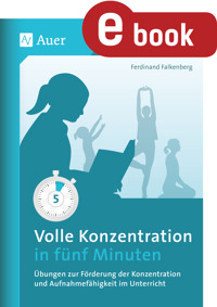 Volle Konzentration in fünf Minuten - Ferdinand Falkenberg - E-Book