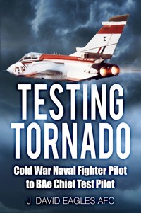 Testing Tornado - J. David Eagles AFC - E-Book