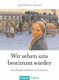 Wir sehen uns bestimmt wieder - Sigrid Schuster-Schmah - E-Book