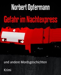 Gefahr im Nachtexpress - Norbert Opfermann - E-Book