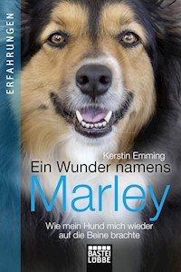 Ein Wunder namens Marley - Kerstin Emming - E-Book