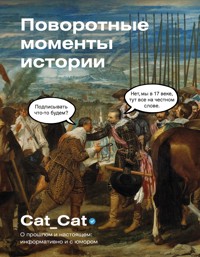 Поворотные моменты истории. О прошлом и настоящем: информативно и с юмором - Cat_Cat - E-Book