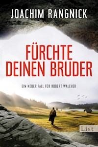 Fürchte deinen Bruder - Joachim Rangnick - E-Book