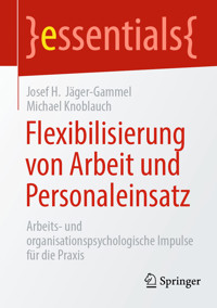 Flexibilisierung von Arbeit und Personaleinsatz - Josef H. Jäger-Gammel - E-Book