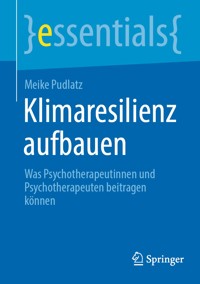 Klimaresilienz aufbauen - Meike Pudlatz - E-Book