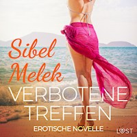 Verbotene Treffen - Erotische Novelle - Sibel Melek - Hörbuch