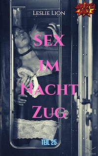 Sex im Nachtzug - Teil 25 von Leslie Lion - Leslie Lion - E-Book