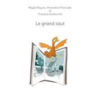 Le grand saut - Magali Nayrac - E-Book