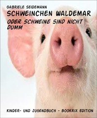 Schweinchen Waldemar - Gabriele Seidemann - E-Book