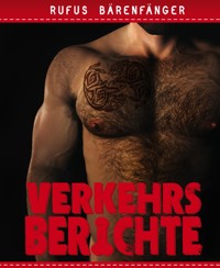 Verkehrsberichte - Die komplette Sammlung - Rufus Bärenfänger - E-Book
