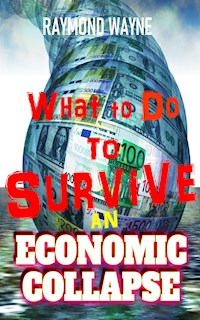 What To Do To Survive An Economic Collapse - Raymond Wayne - E-Book