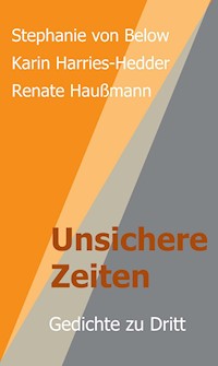 Unsichere Zeiten - Renate Haußmann - E-Book