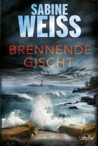Brennende Gischt - Sabine Weiß - E-Book