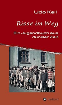 Risse im Weg - Udo Keil - E-Book