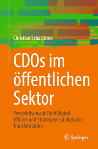 CDOs im öffentlichen Sektor - Christian Schachtner - E-Book