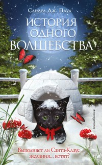 История одного волшебства - Сандра Дж. Паул - E-Book