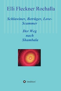Schlawiner, Betrüger, Love-Scammer - Elli Fleckner Rochalla - E-Book