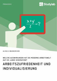 Arbeitszufriedenheit und Individualisierung. Welche Auswirkungen hat die moderne Arbeitswelt auf die junge Generation? - Alissa v. Neuenkirchen - E-Book