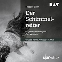 Der Schimmelreiter - Theodor Storm - Hörbuch