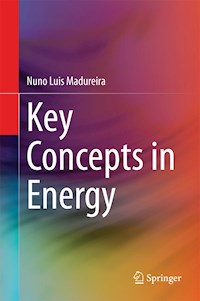 Key Concepts in Energy - Nuno Luis Madureira - E-Book