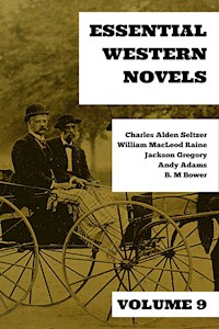 Essential Western Novels - Volume 9 - Charles Alden Seltzer - E-Book