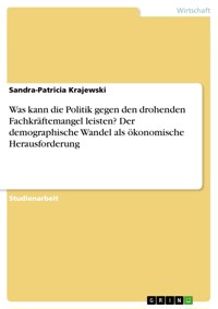Was kann die Politik gegen den drohenden Fachkräftemangel leisten? Der demographische Wandel als ökonomische Herausforderung - Sandra-Patricia Krajewski - E-Book