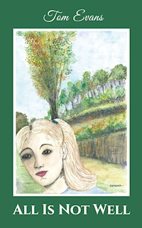 All Is Not Well - Tom Evans - E-Book