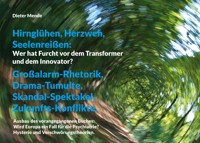 Hirnglühen, Herzweh, Seelenreißen: Wer hat Furcht vor dem Transformer und dem Innovator? - Dieter Mende - E-Book