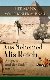 Aus Mehemed Alis Reich: Ägypten und der Sudan um 1840 - Hermann von Pückler-Muskau - E-Book