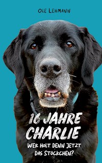 16 Jahre Charlie - Ole Lehmann - E-Book