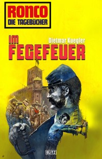 Ronco - Die Tagebücher 16: Im Fegefeuer - Dietmar Kuegler - E-Book