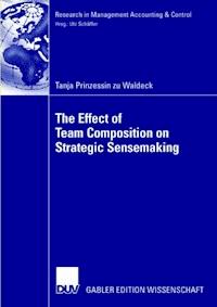 The Effect of Team Composition on Strategic Sensemaking - Tanja Waldeck - E-Book