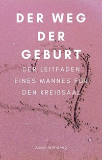 Der Weg der Geburt - Andre Sternberg - E-Book