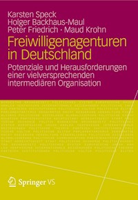 Freiwilligenagenturen in Deutschland - Holger Backhaus-Maul - E-Book