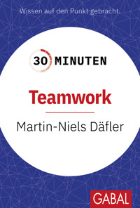 30 Minuten Teamwork - Martin-Niels Däfler - E-Book