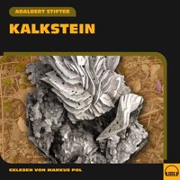 Kalkstein - Adalbert Stifter - Hörbuch
