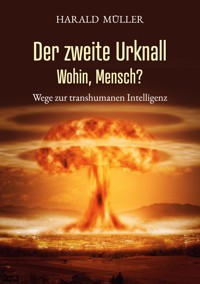 Der zweite Urknall - Harald Müller - E-Book