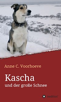 Kascha und der große Schnee - Anne C. Voorhoeve - E-Book
