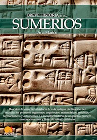 Breve historia de los sumerios - Ana Martos Rubio - E-Book