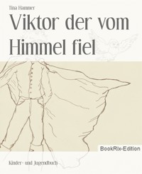 Viktor der vom Himmel fiel - Tina Hammer - E-Book
