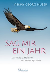 Sag mir ein Jahr - Vismay Georg Huber - E-Book